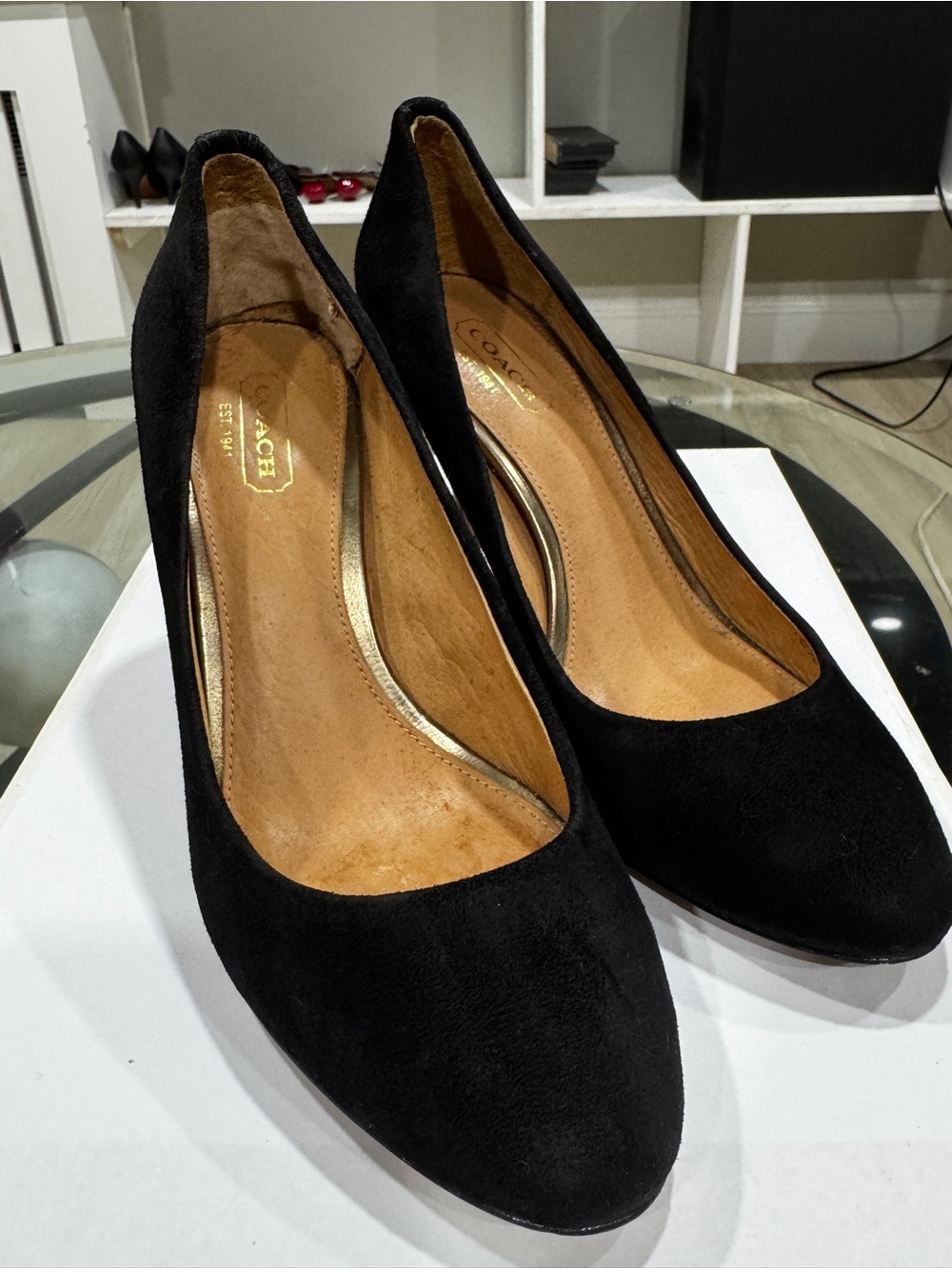 COACH Black Suede Pointed-Toe Heels